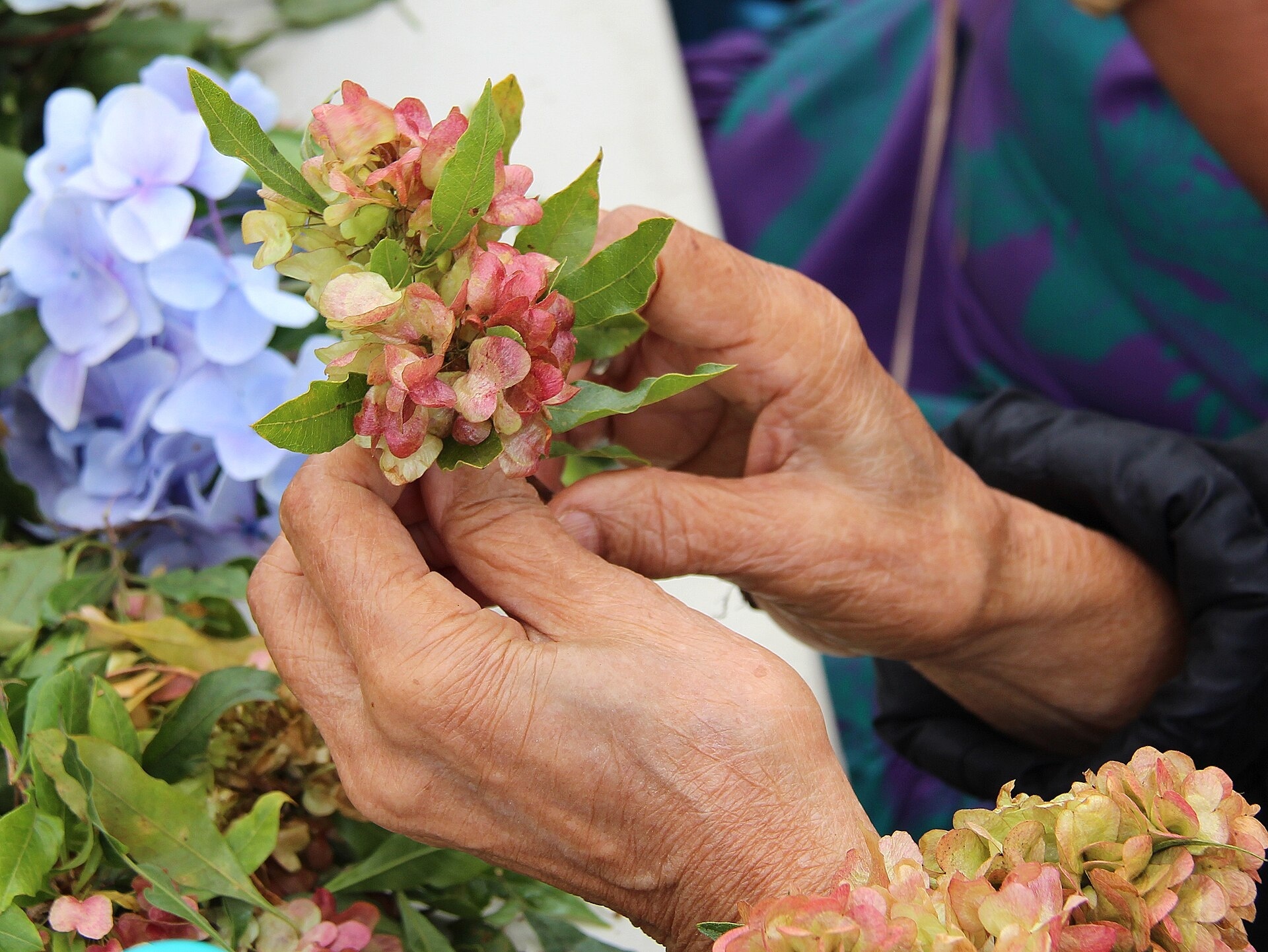 Hands carefully bringing flowers and leaves together into a lei