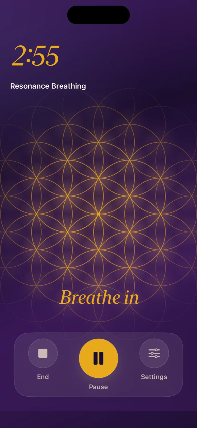Live breathwork screen with pacing circle